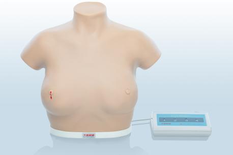 電子乳腺癌觸診、視診訓(xùn)練模型