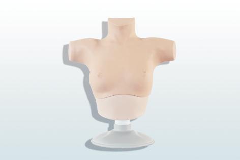 乳腺癌觸診、視診訓(xùn)練模型